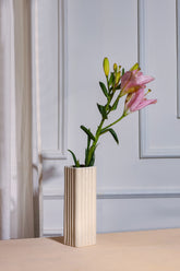 Alamkari India Ceramic / Beige Elevated straight Ceramic Vase